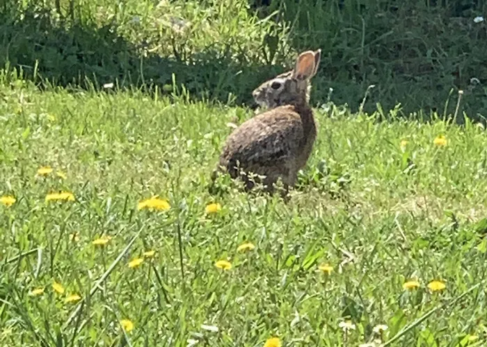 Farm stay Laterzola 3.0 *